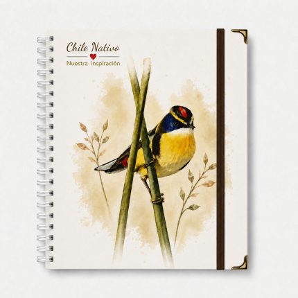 Cuaderno Corporativo 2027: Fiu 7 colores