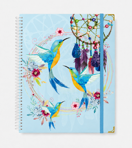 Agenda Educadora de Párvulo 2027: Colibrí Atrapa sueños
