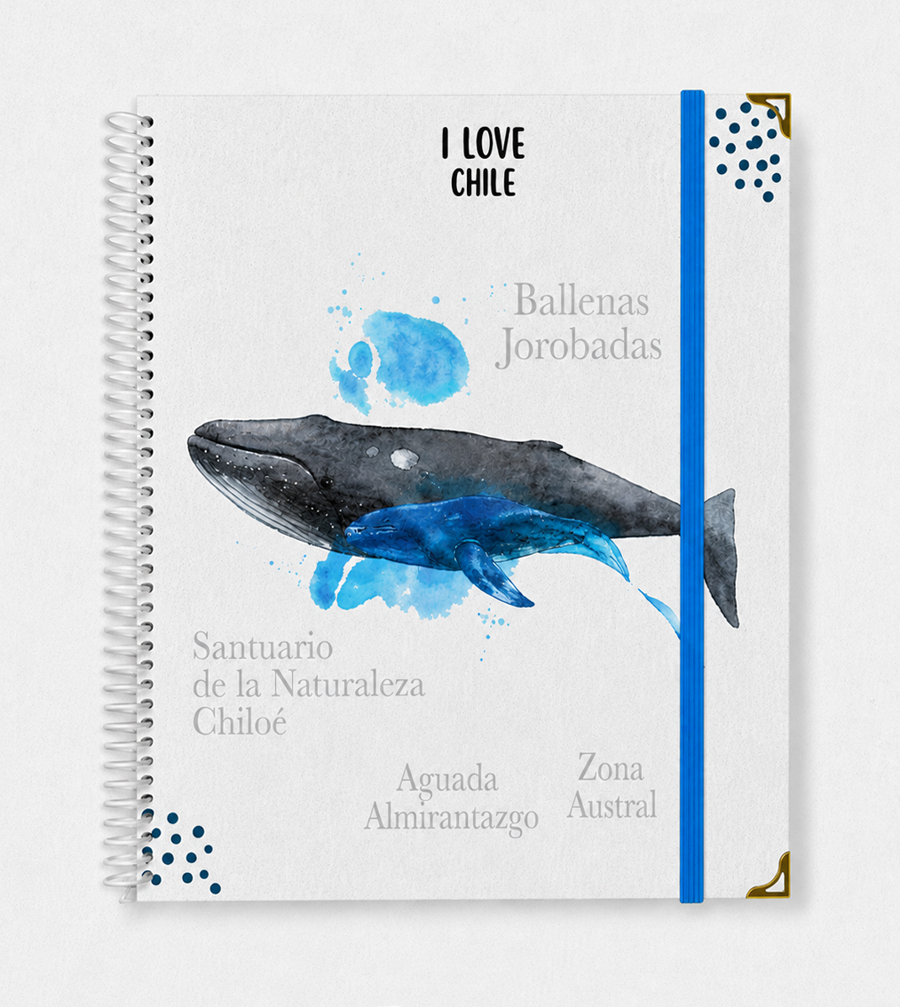ballena 2027